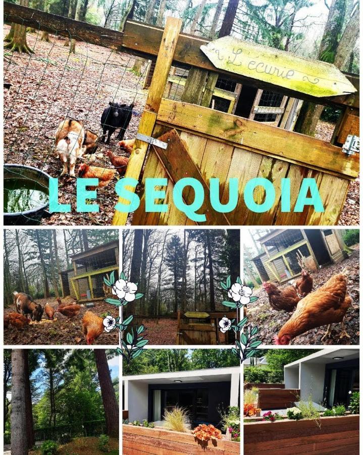Le Sequoia Apartment Saint-Sebastien-sur-Loire Exterior photo